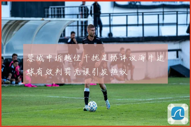蓉城申诉越位干扰足协评议海牛进球有效判罚无误引发热议